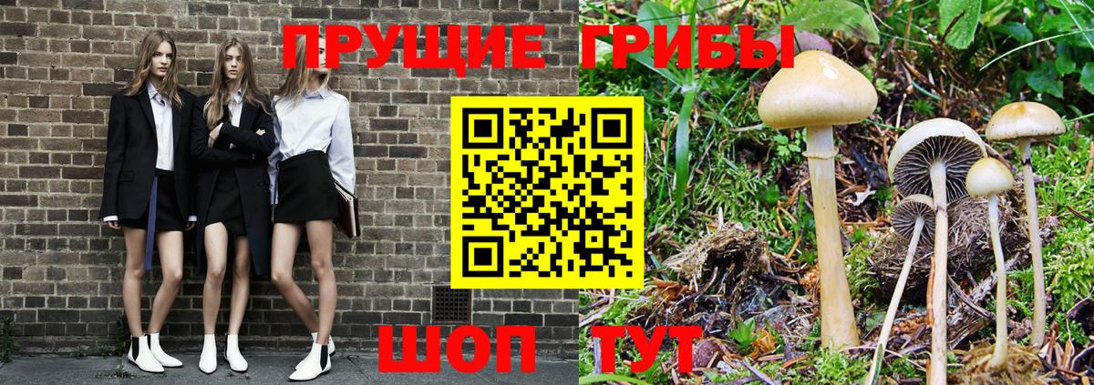 Галлюциногенные грибы прущие грибы Магадан