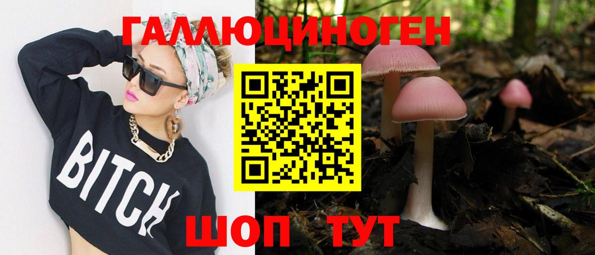 Магадан  Псилоцибиновые грибы мухоморы  Галлюциногенные грибы Magic Shrooms  Вход с VPN 